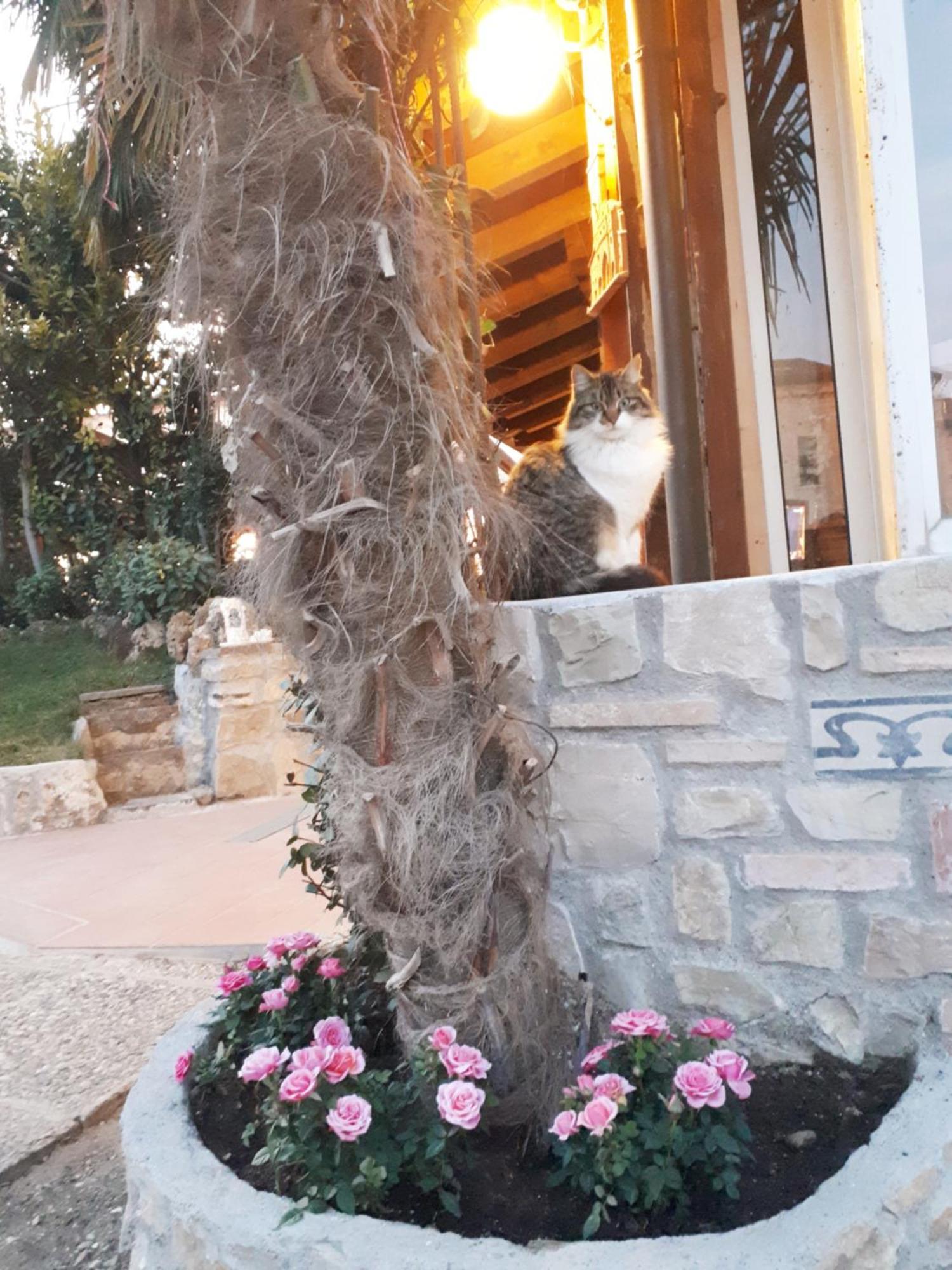 Perla Panzió Gussago Kültér fotó
